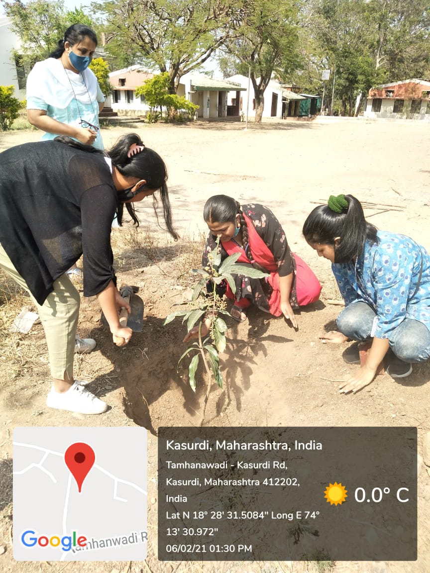 volunteers planting the sapling